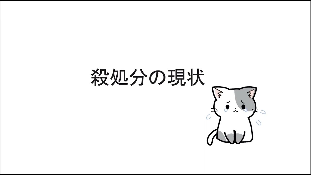 犬猫の殺処分について