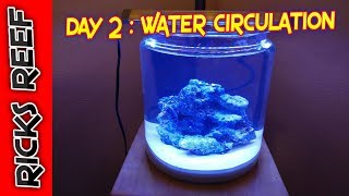HOW TO: REEF TANK IN A COOKIE JAR - DAY 2 - WATER CIRCULATION