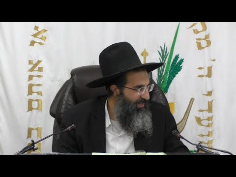 אוהב את הבריות ומקרבן לתורה | הרב שי עובד | רביעי - פרשת נח - תשפה