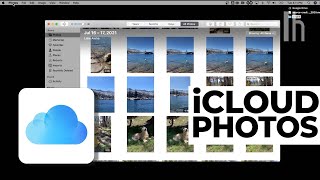 How to Organize All Your Photos on iCloud  |  Quick Fix