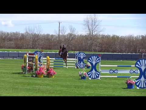 Zahara - RMSJ - 1.20m