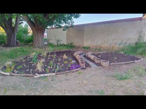 Kurzfilm Aktionstage im Hedwigsgarten