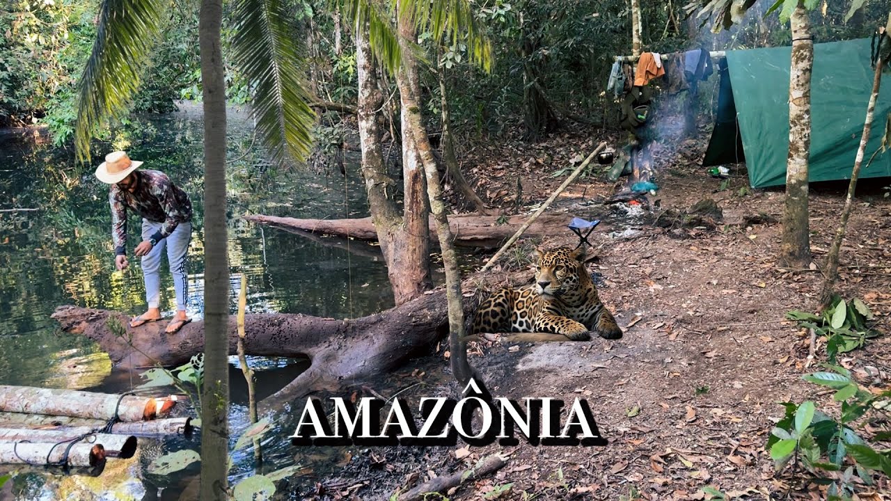 ACAMPEI em uma MATA FECHADA fiz uma JANGADA para descer o GROTÃO REMOTO! ONÇAS, MACACOS, COBRAS 🐍 🐆🐊