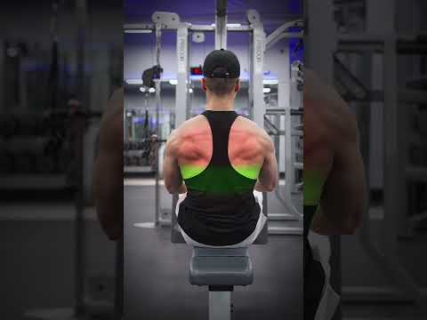 3 Cable Exercises for a BIGGER Back