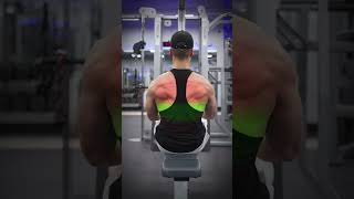 Download lagu 3 Cable Exercises for a BIGGER Back mp3