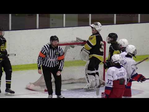 Flemingsberg - GötaTraneberg U16 20190121 Period 3