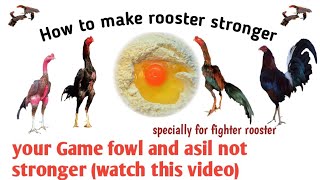 How to make rooster stronger | Best diet for  rooster | Best diet for Aseel