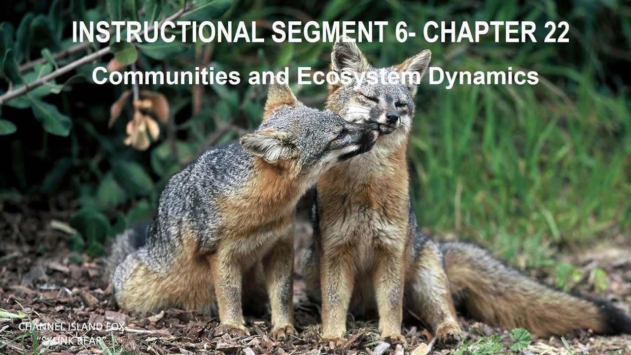 PowerPoint Lecture: Unit 3 - Chapter 22 (Communities and Ecosystem Dynamics)