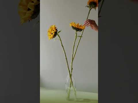 Salma Flowers – Where Every Flower Tells a Story | Luxury Bouquets & Delivery