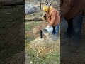 Making compost with straw and chicken manure!