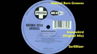 Natural Born Grooves - Groovebird video