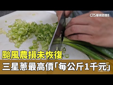 颱風農損未恢復　三星蔥最高價「每公斤1千元」