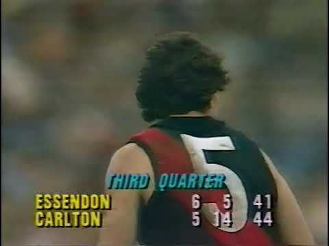 1983 - Essendon vs Carlton - Rd 22