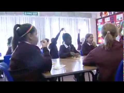 The Intensive Phase of the Food Dudes Programme