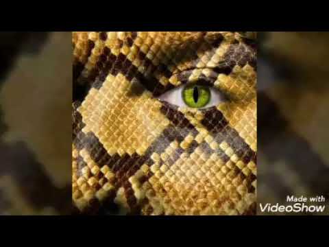 psb james miller ft 93 money remix 2014