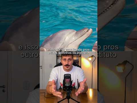 O golfinho que superou seus treinadores