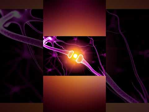 DOPAMINA la Bateria de el Cuerpo, Debemos CUIDARLA