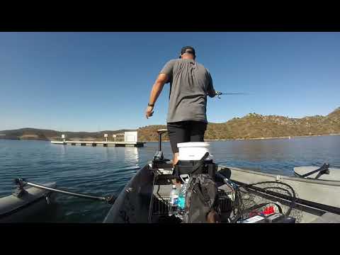 Biggfeast Baits Bomber Crank