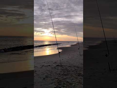 PESQUERO de los TITANES 🎣 Video en el canal 👇💥