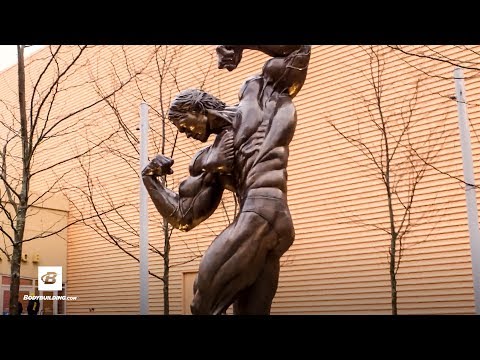 The Arnold Classic Fitness Expo Day 1 | 2018