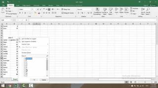Excel assessment: Applying multiple filters on an a single sheet