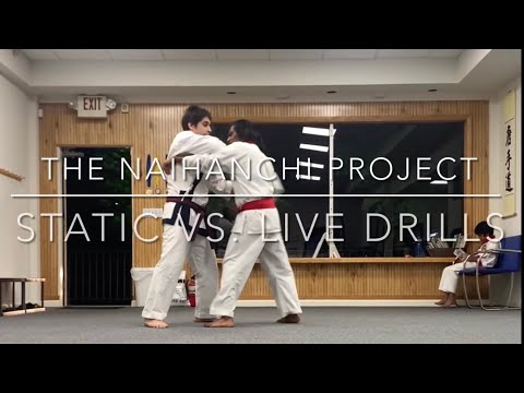 Naihanchi Bunkai - Static vs. Live Drills