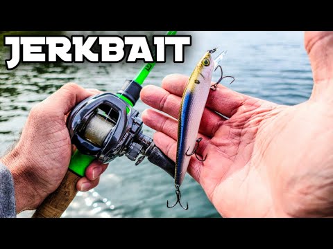 Jerkbait Fishing for Bass in my Jon Boat (Conquered the COLD Front)