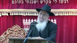 002מצוות ומדות-בראשית פ''א (הרב יורם סרי) - התמונה מוצגת ישירות מתוך אתר האינטרנט יוטיוב. זכויות היוצרים בתמונה שייכות ליוצרה. קישור קרדיט למקור התוכן נמצא בתוך דף הסרטון