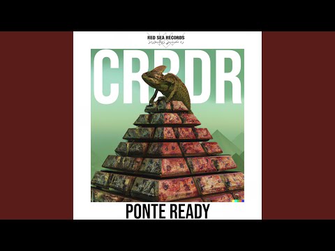 Ponte Ready