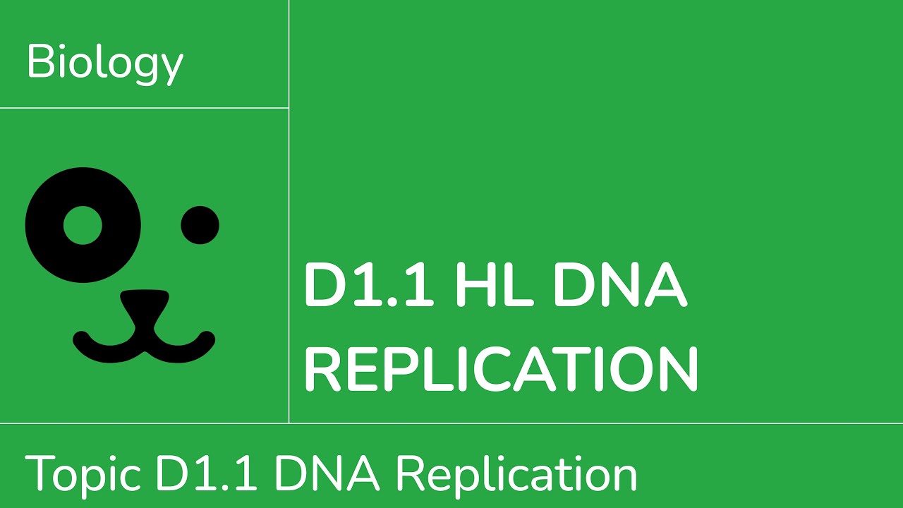 D1.1 HL DNA Replication [IB Biology HL]