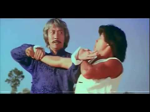 The Master Strikes 通天老虎 1980 (Fight Scene)