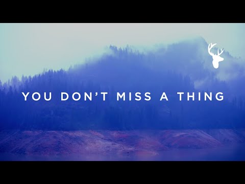 You Don't Miss A Thing (Official Lyric Video) - Amanda Cook | We Will Not Be Shaken