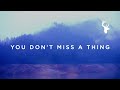 You Don't Miss A Thing // Amanda Cook // We ...