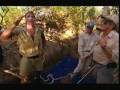 Crocodile Hunter Super Croc Part 2 5