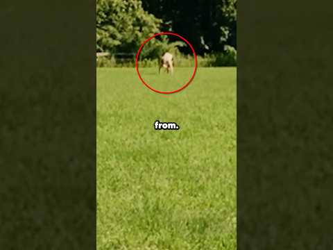 He TAUNTS Skinwalkers And FINDS OUT..