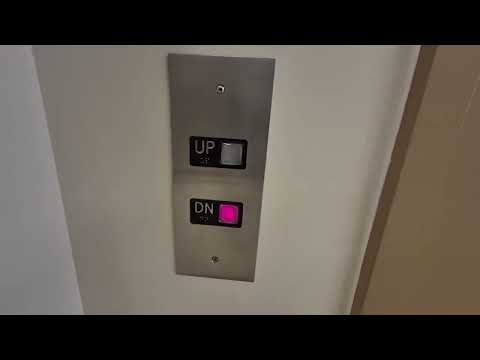 2000 Long Hydraulic Elevators at Wrighton Hall WU St. Louis MO