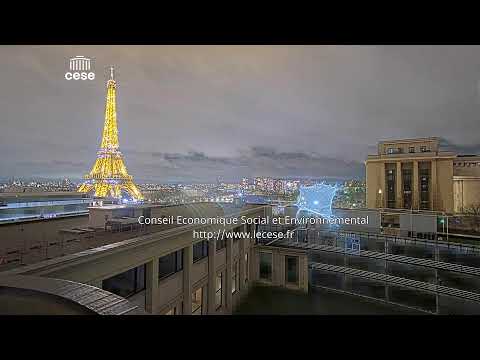 Webcam Palais d’Iéna - Conseil Économique, Social et Environnemental - Vue Tour Eiffel - Paris
