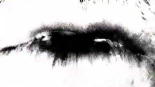 Bank And Trust THE ELECTED - FAN VIDEO