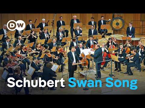 Schubert: Schwanengesang (Swan Song) | René Pape, Dresden Festival Orchestra, Ivor Bolton