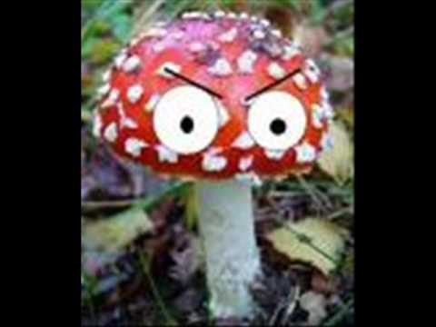 Evil Mushroom