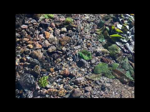 The Long Healing Prayer