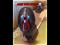Best Bird Screaming Moments ️