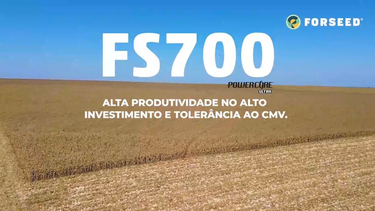 FS700 Híbrido de Alto Investimento da Forseed