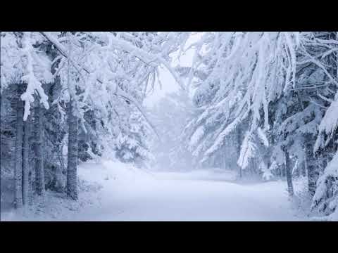 🎶Slavko Avsenik & Seine Original Oberkrainer - Wintermärchen🎵