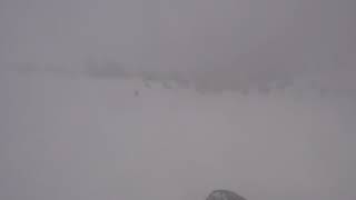 Rendezvous Bowl w/ Rick