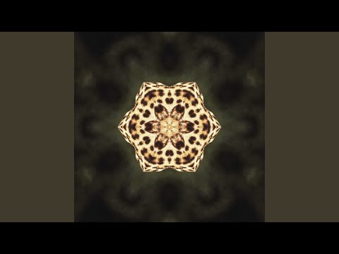 Mobutu Fashion Killa