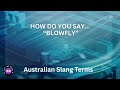 What Does Blowie Mean In Australia