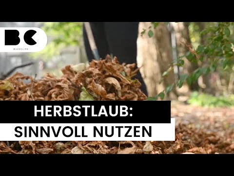 Herbstlaub: So verwendet man es sinnvoll