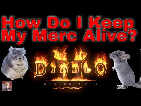 D2R - How Do You Keep Your Mercenary Alive? (With Chapters)