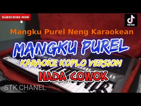 MANGKU PUREL NENG KARAOKE(NADA COWOK) KARAOKE DANGDUT KOPLO STK CHANEL